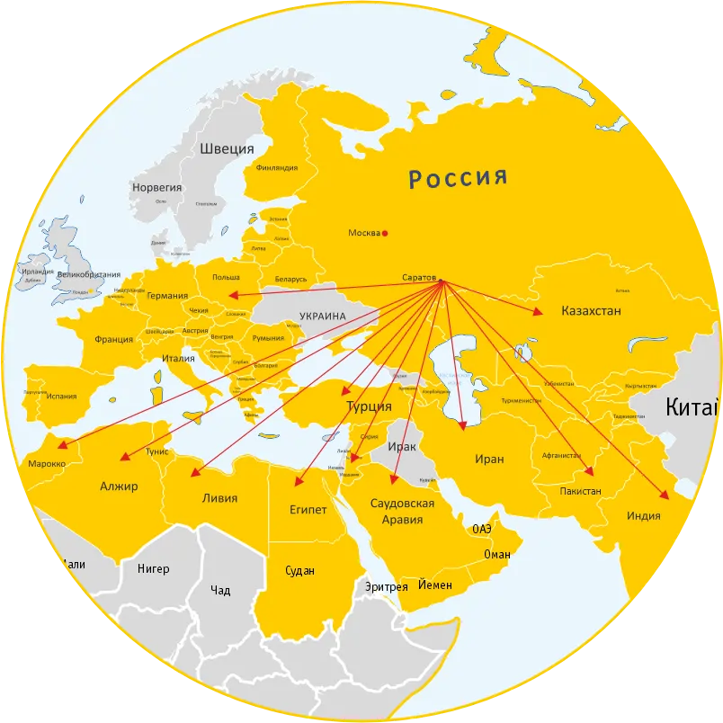 Экспорт и география поставок