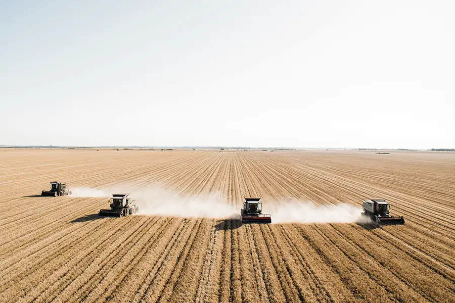 Saratov farmers collected more than 3 million tons of grain