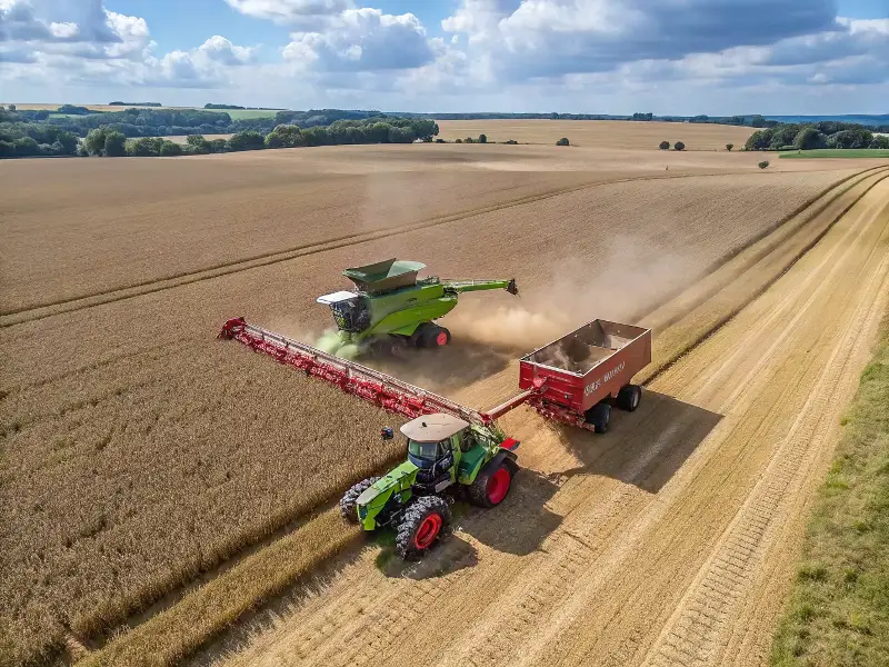 The Saratov region set records in agriculture in 2024