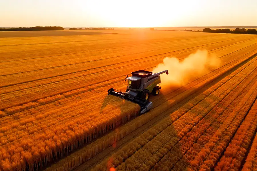 Saratov grain growers threshed over 3 million tons of grain