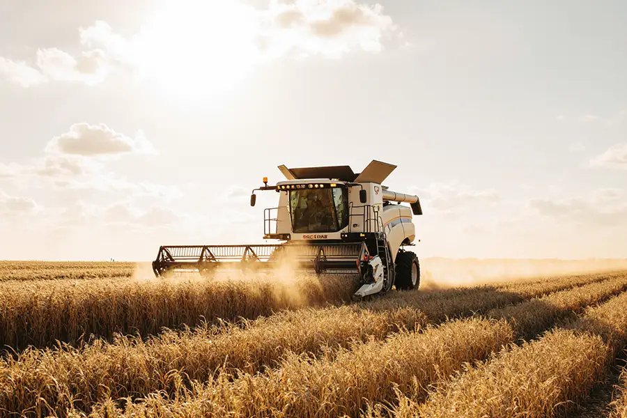 Saratov grain growers collected over 6 million tons of grain