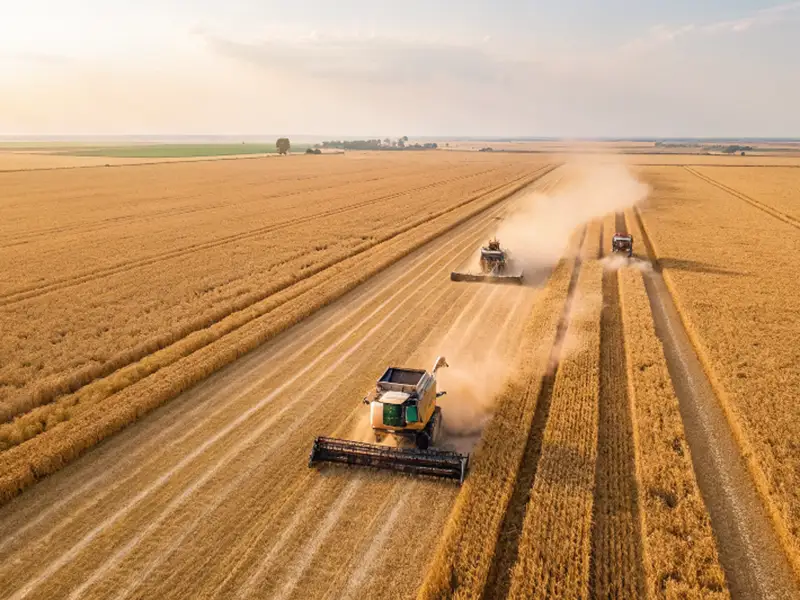 The Saratov Ministry of Agriculture reported the collection of 5.5 million tons of grain