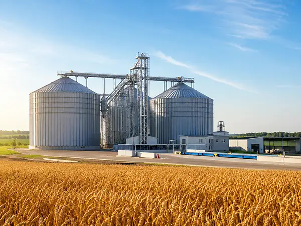 New Grain Elevator Under Construction in the Ershovsky District of the Saratov Region