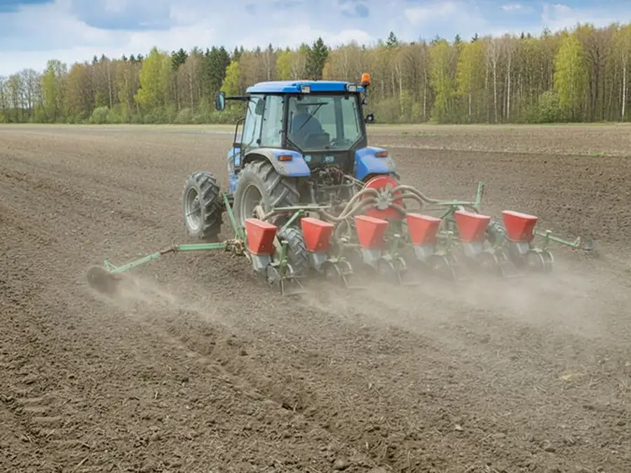 The area under corn will be increased in the Saratov region