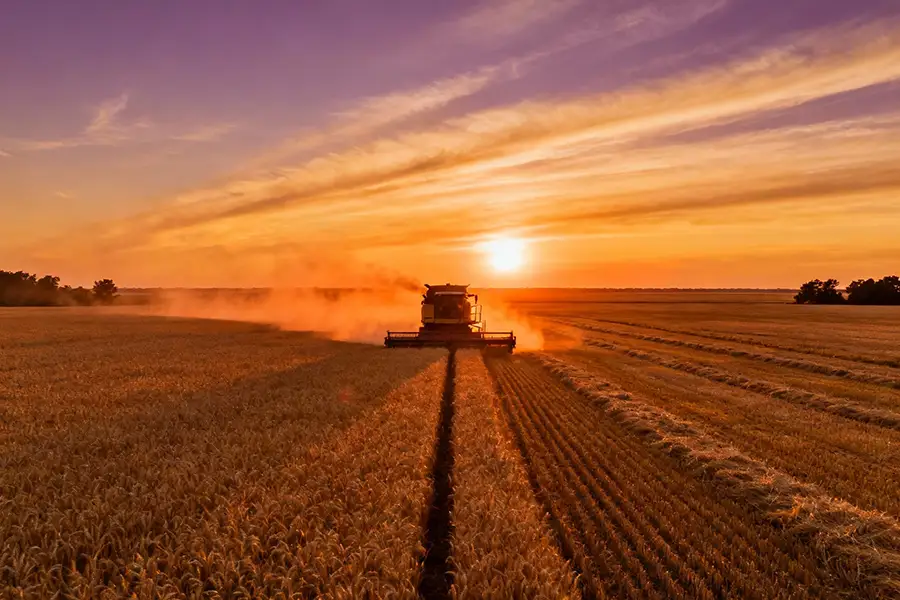Harvesting campaign 2021 ends