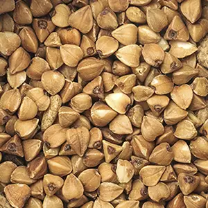 Buckwheat