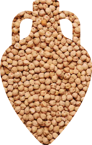 Нут