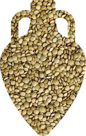 Зеленая чечевица