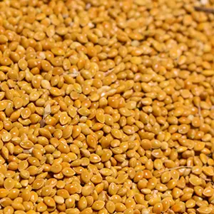 Millet