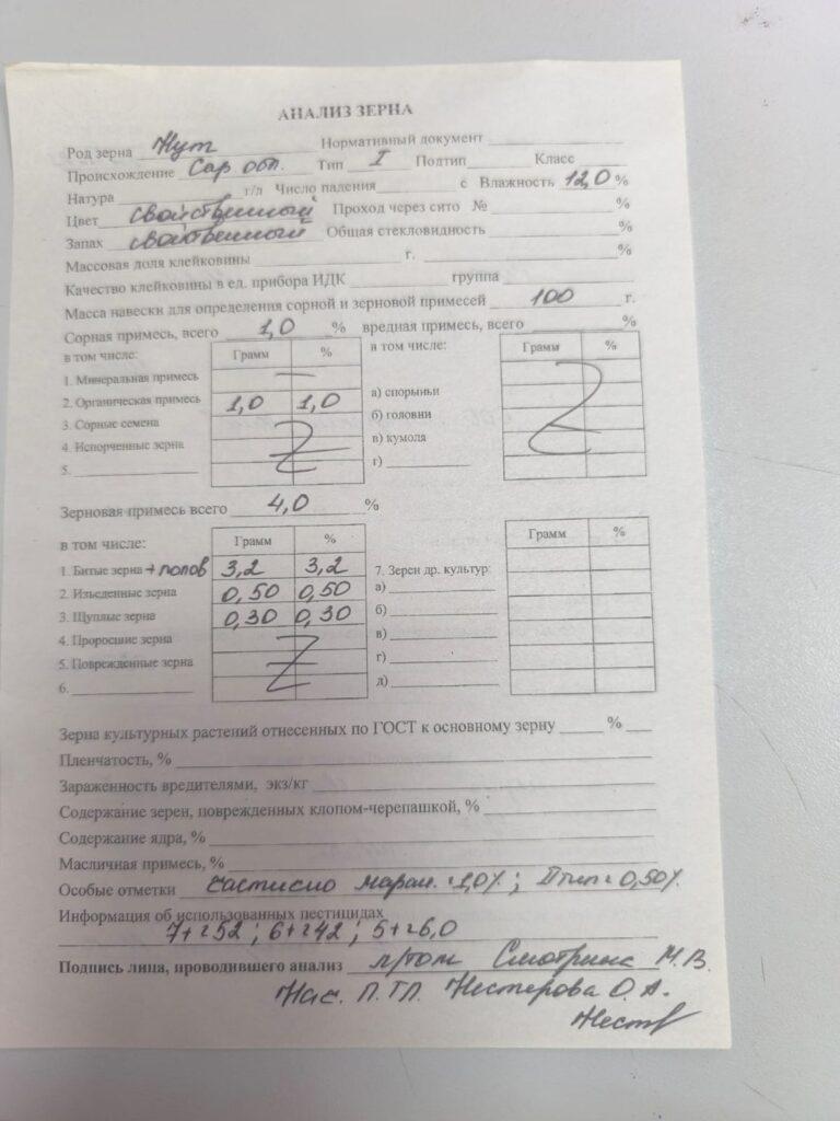 Нут