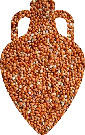Просо