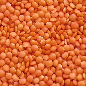Red lentils